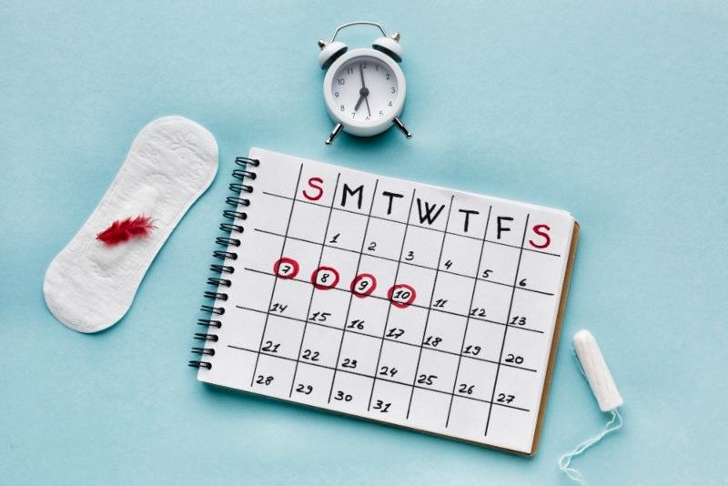 Cuáles son las etapas de la regla en las mujeres